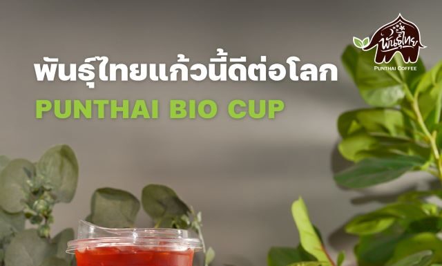 “กาแฟพันธุ์ไทย” คว้ารางวัล “ร้านกาแฟรักษ์โลก”