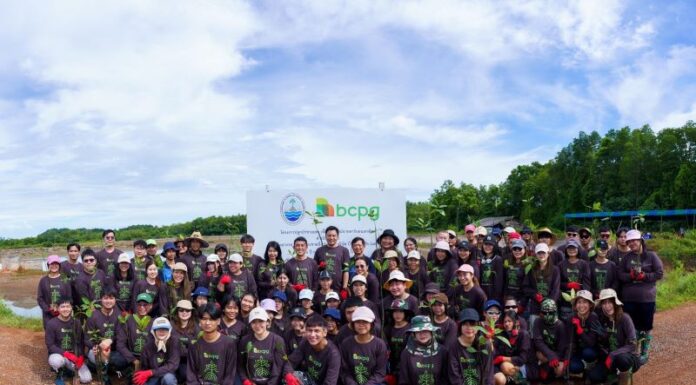 BCPG จัดกิจกรรม “มือเปื้อนโคลน เพื่อป่าชายเลน ปี 3”ชวนเยาวชนเติมพื้นที่สีเขียว ช่วยโลกกักเก็บคาร์บอน