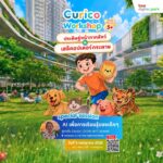 “Curico” เมื่อทีมเด็กไทย ใช้สมองและหัวใจ ปั้น AI พลิกโฉมการศึกษา